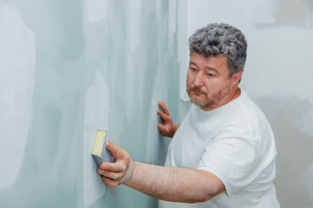  Rockford, IL Mold Removal Pros