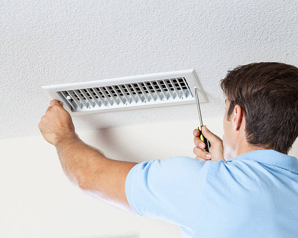 Best Black Mold Removal  in Rockford, IL