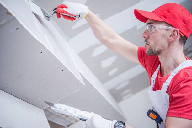 Best Post-Remediation Verification Testing  in Rockford, IL